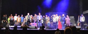 Festival Dilema Veche 5 (600 x 232)