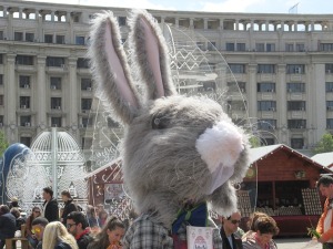 iepuras de paste bucuresti 2017