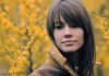 A murit Françoise Hardy. R.I.P! A murit Françoise Hardy. R.I.P!