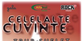 Concert Celelalte Cuvinte – "Trup si Suflet" – la Timisoara