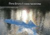 Premieră la Teatrul Naţional Radiofonic: „Pescăruşul” de Cehov