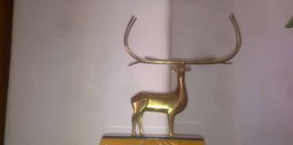 TROFEUL CERBUL DE AUR, DE VÂNZARE PE OLX.ro (20.01)