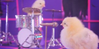 Formația „Rock Chicks” vă urează Paște fericit! – VIDEO