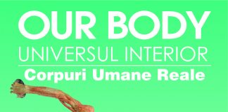 Universal Exhibition Group prezintă expoziția „OUR BODY: Universul Interior” în premieră la Cluj-Napoca