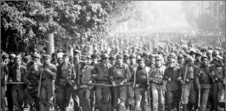 NOI CHIAR N-AVEM MEMORIE?