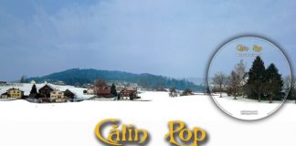 Călin Pop (Celelalte Cuvinte), concert in Music Club (29 ianuarie)