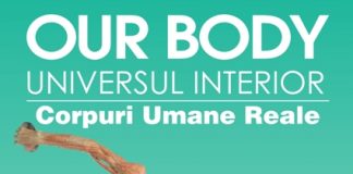 Universal Exhibition Group prezintă expoziția „OUR BODY: Universul Interior” în premieră la Timișoara!