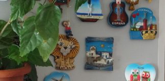 JURNAL DE P.A.E. 10.04.