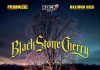 Concert Black Stone Cherry în premieră în România (9 iulie)