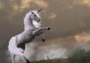 Ziua Mondială a Unicornului (9.04)