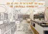 16 mai. Se redeschid Librăriile Humanitas
