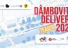 Dâmbovița Delivery – recuperăm râul pentru oraș (4 și 5 iulie)