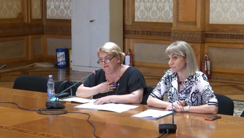 Doina Gradea, reacție în scandalul programului de Revelion de la TVR 1: La băşcălie se pricepe oricine, la satiră, nu