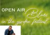 Open Air Blues in the garden festival #2: Rock-blues night (27 august)