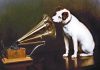 REZULTAT – TOP SONGS ABOUT ANIMALS TOP SONGS ABOUT ANIMALS. VOTEAZĂ CEL MULT 20!
