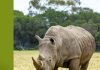Ziua Mondială a Rinocerului (22.09) Ziua Mondială a Rinocerului (22.09)