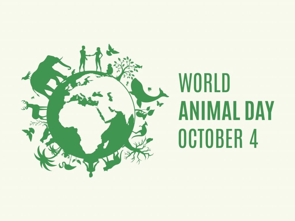 (Playlist): Ziua Internațională a Animalelor (4.10)