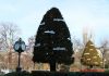 Prima plimbare prin Parcul Cișmigiu în 2022 (2.01) Prima plimbare prin Parcul Cișmigiu în 2022 (2.01)