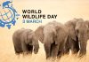 Ziua mondială a vieţii sălbatice / World Wildlife Day (3 Martie) Ziua mondială a vieţii sălbatice / World Wildlife Day (3 Martie)