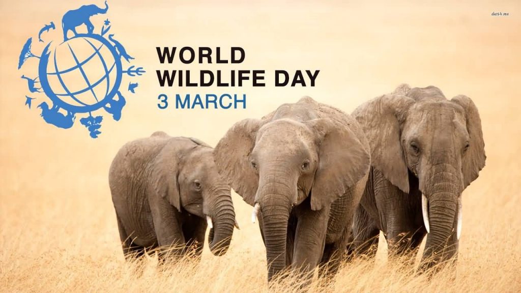  Ziua mondială a vieţii sălbatice / World Wildlife Day (3 Martie)