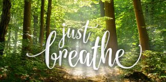 Din jurnalul unui ninja (9): Respiră! Din jurnalul unui ninja (9): Respiră!