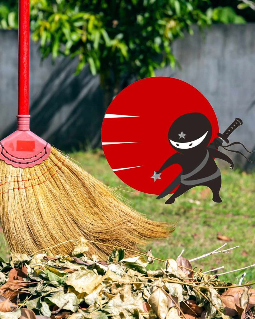 Din jurnalul unui ninja (43): Curățenia de toamnă