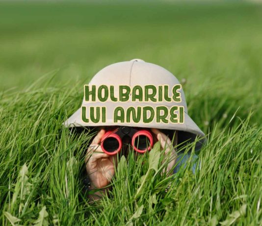 JURNALUL MEU-HOLBAT DIN 19-20.09 HOLBĂRI ADUNATE: IPOCRIZIE, PROSTIE, OPORTUNISM?
