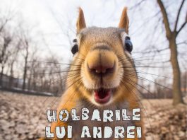 JURNAL – HOLBAT DE JOI 27.08 – PREȘEDINTELE NE-A INVITAT LA CALM! HOLBĂRI SCURTE (26.01.2024)