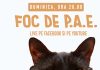 Foc de P.A.E cu Andrei Partoș – editia 809. Discutăm despre Jocurile Olimpice, scandalul de la SNSPA și alte subiecte la zi (4.08.2024) Foc de P.A.E cu Andrei Partoș – editia 809. Discutăm despre Jocurile Olimpice, scandalul de la SNSPA și alte subiecte la zi (4.08.2024)