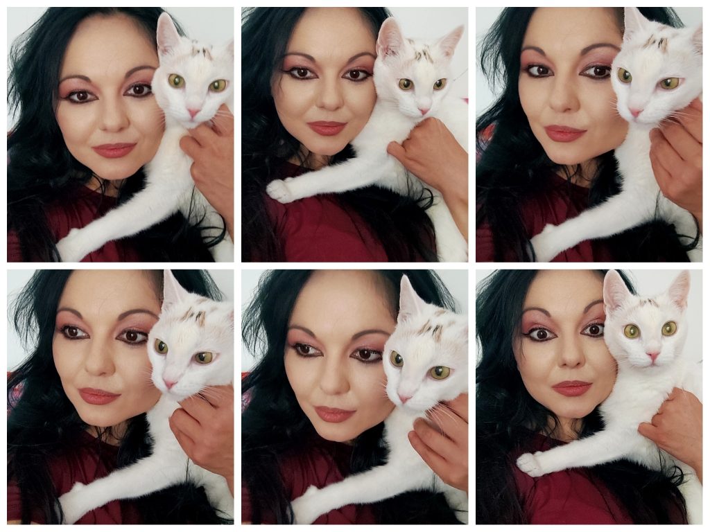 Medicii veterinari - îngeri pentru animale și demoni pentru stăpâni?
