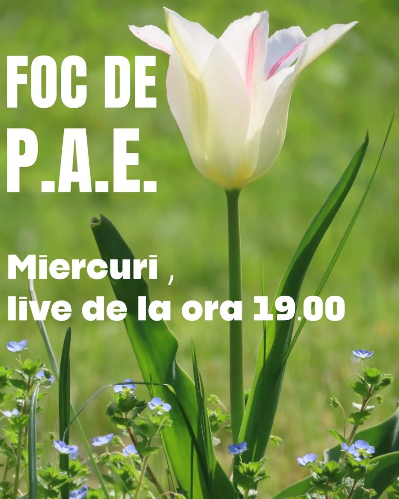 Foc de P.A.E cu Andrei Partoș – editia 857. După 35 de ani, tot cu dosarele Securității ne războim? (16.04.2025) 