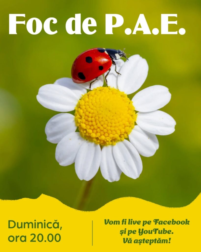 Foc de P.A.E cu Andrei Partoș – editia 871. În câte locuri mergeți în vacanță vara asta? (15.06.2025)