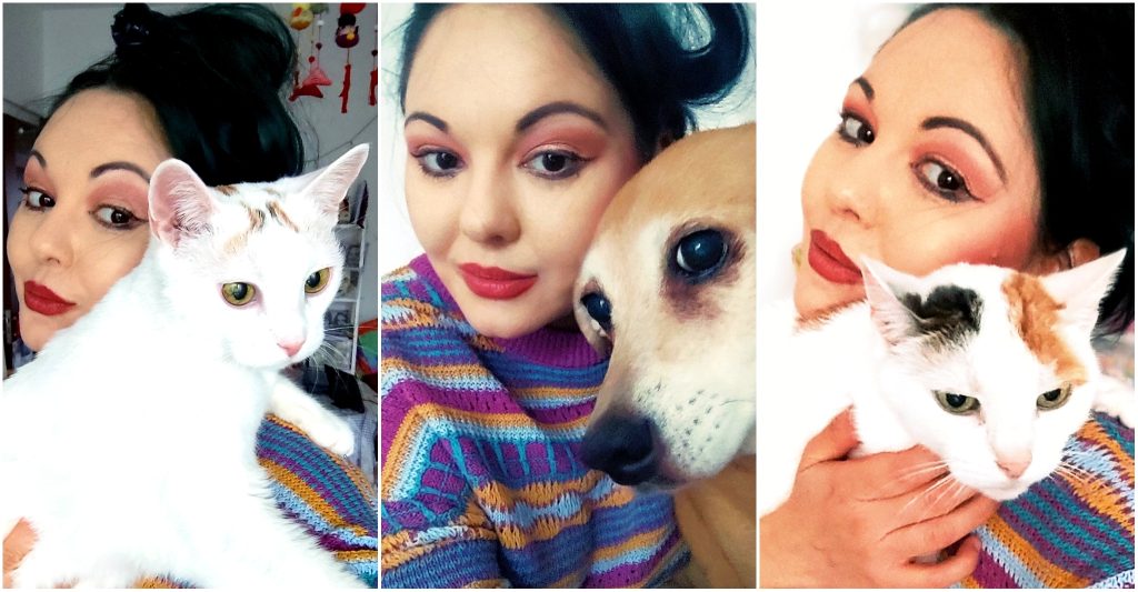 Ong-urile pentru protecția animalelor. Salvatori sau profitori?