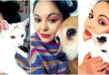 Ong-urile pentru protecția animalelor. Salvatori sau profitori? Ong-urile pentru protecția animalelor. Salvatori sau profitori?