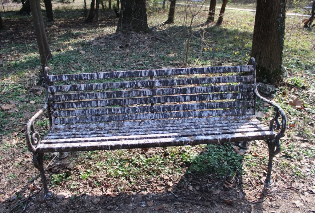 JURNALUL MEU DIN 18.09 - AM SCRIS POZITIV DESPRE O EMISIUNE TV