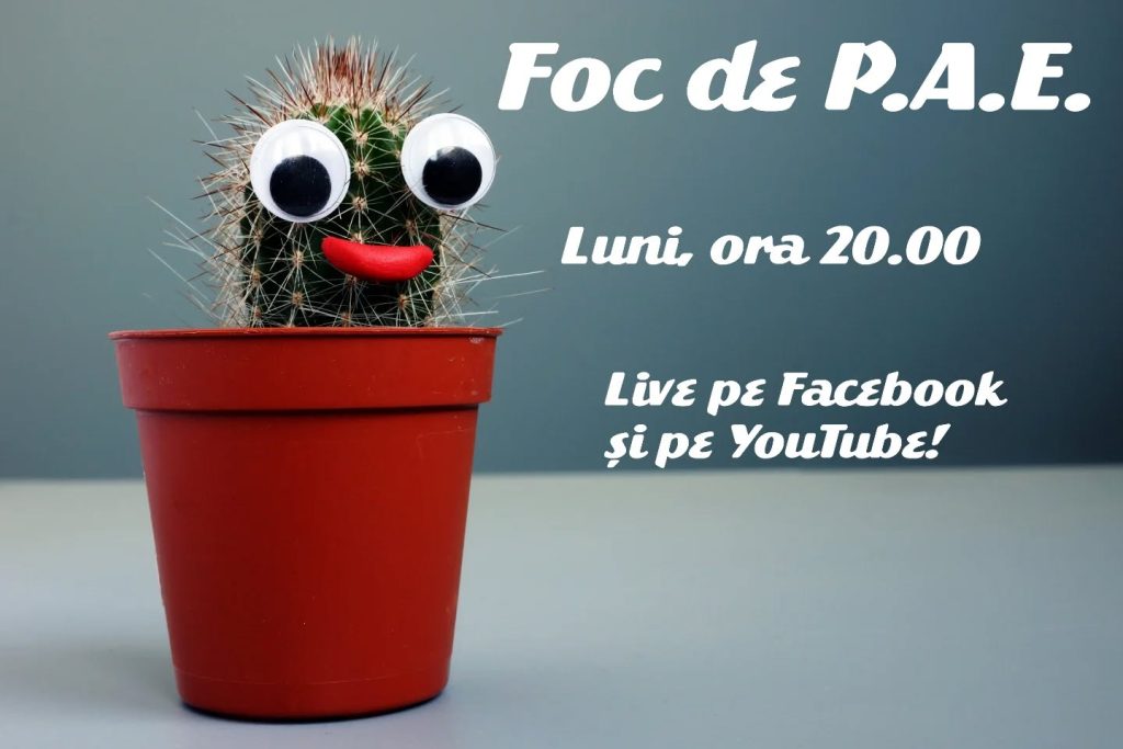Foc de P.A.E cu Andrei Partoș – editia 889. Tzancă și Bursucu au dat palme și șuturi bunului simț (1.09.2025)