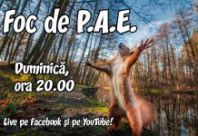 Foc de P.A.E cu Andrei Partoș – editia 894. Americanii își iau mâna de pe Europa?… (21.09.2025) Foc de P.A.E cu Andrei Partoș – editia 894. Americanii își iau mâna de pe Europa?... (21.09.2025)