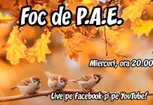 Foc de P.A.E cu Andrei Partoș – editia 895. Mai luați paracetamol? (24.09.2025) Foc de P.A.E cu Andrei Partoș – editia 895. Mai luați paracetamol? (24.09.2025)