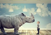 JURNALELE MELE PENTRU 12-13.11 – DAȚI LEGEA, N-O NEGOCIAȚI! JURNALUL MEU DIN 14.10 - SF.PARASCHEVA ȘI CIFRELE