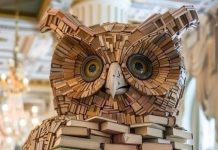 JURNALUL MEU DIN 11.11 – AI CARTE, N-AI PARTE! JURNALUL MEU DIN 11.11 - AI CARTE, N-AI PARTE!