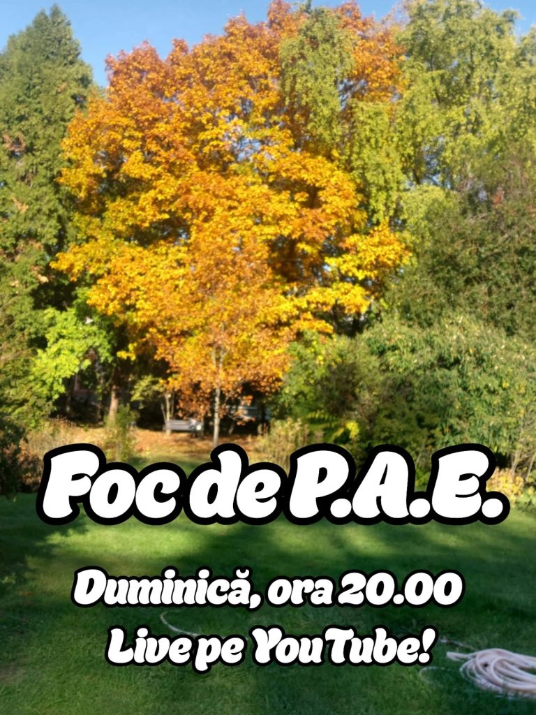 Foc de P.A.E. cu Andrei Partoș - ediția 900. Chiar contează cine va fi primar general?... (2.11.2025)