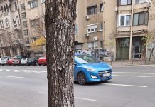 JURNALUL MEU DIN 14.11 – ȚEVI ÎMBRĂCATE, AVEM O GRIJĂ JURNALUL MEU DIN 14.11 - ȚEVI ÎMBRĂCATE, AVEM O GRIJĂ