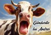 DE UNDE LE GĂSIȚI? DE UNDE LE GĂSIȚI?