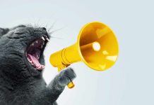 Vocea României și analfabetismul funcțional Vocea României și analfabetismul funcțional