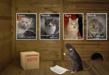 JURNALUL MEU DIN 8.12 – C. CIUCU (PNL) E PRIMAR GENERAL JURNALUL MEU DIN 8.12 - C. CIUCU (PNL) E PRIMAR GENERAL