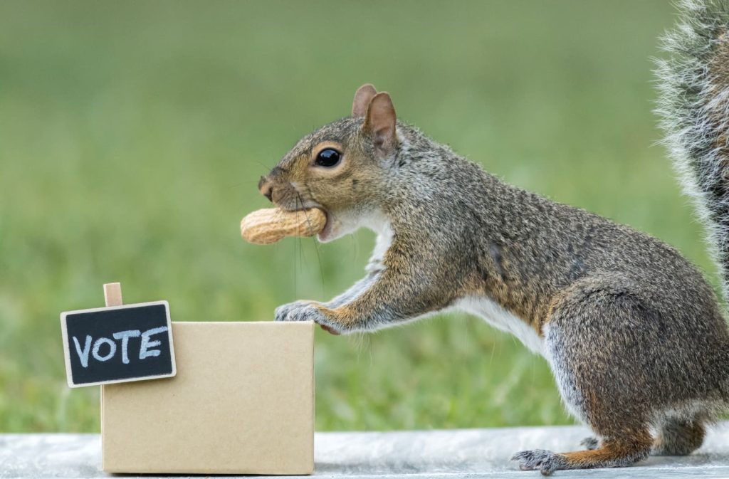 JURNALUL MEU 16.12.2025 - NU-I MAI SIMPLU CU ANTICIPATE?