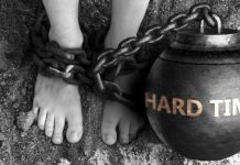 JURNALUL MEU 19-20.01 – NU UMBLĂM TELELEU ȘI EVITĂM ZÂZANIILE! JURNALUL MEU 19-20.01 - NU UMBLĂM TELELEU ȘI EVITĂM ZÂZANIILE!