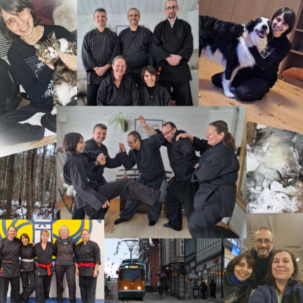 Jurnal de călătorie: Sub zăpadă este esența (Suedia, Shinden Fudo Ryu și iarna care curăță)