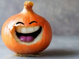 JURNALUL MEU DE JOI 30.04 – CEAPA MĂ-SII! JURNAL MEU DE JOI 30.04 - CEAPA MĂ-SII!