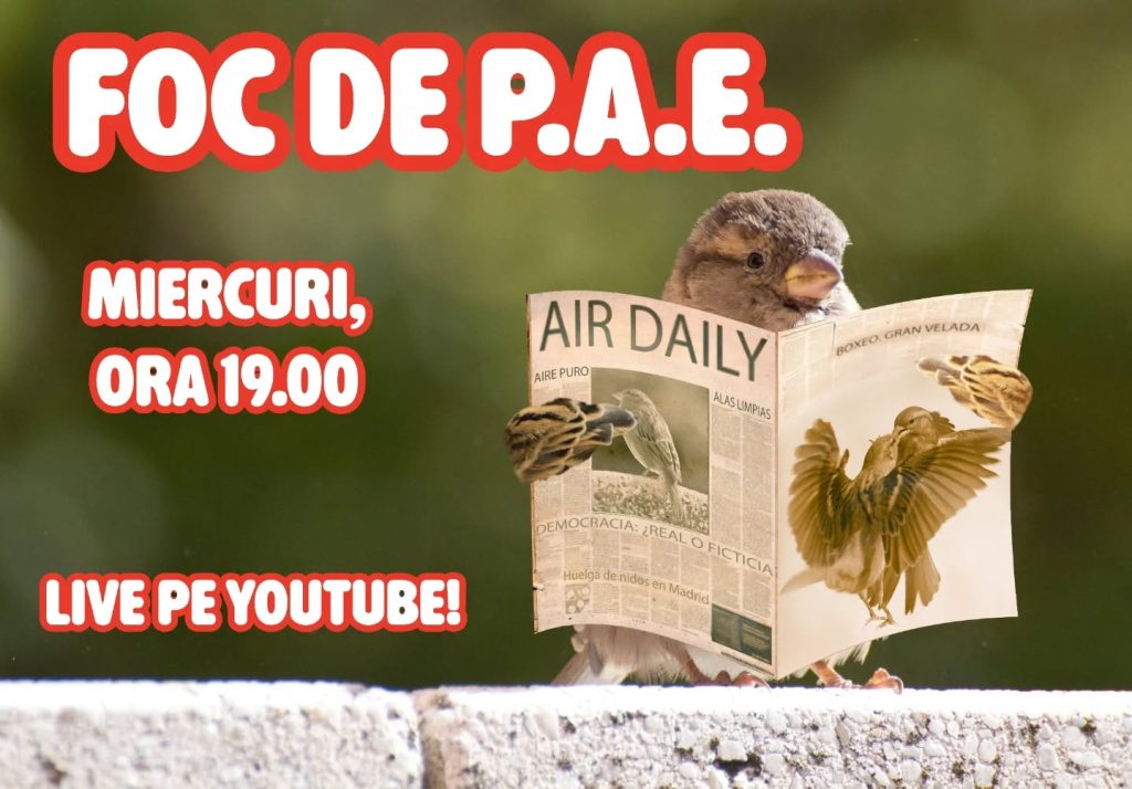 Foc de P.A.E. cu Andrei Partoș - ediția 927. Cuvintele cheie ale zilei: scandal, circ, misoginism, pompă (18.03.2026)